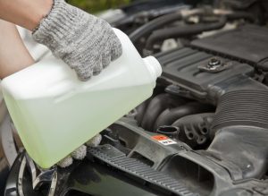Essential car fluids