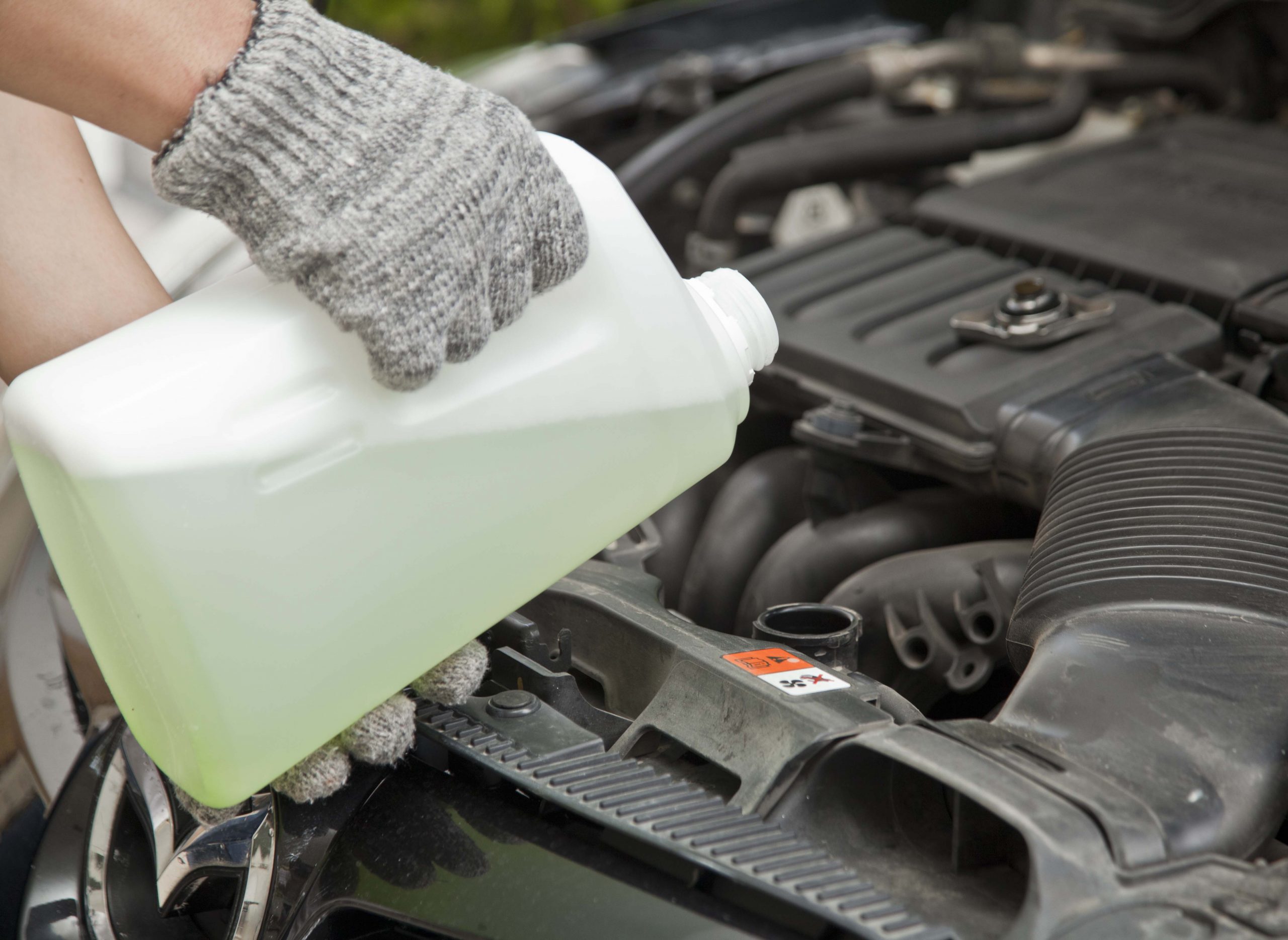 The Essential Car Fluids You Should Be Checking Regularly