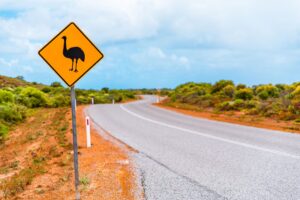 aussie drivers